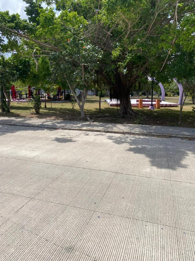 La Casa Del Arbol Vandrerhjem Cancún Eksteriør bilde